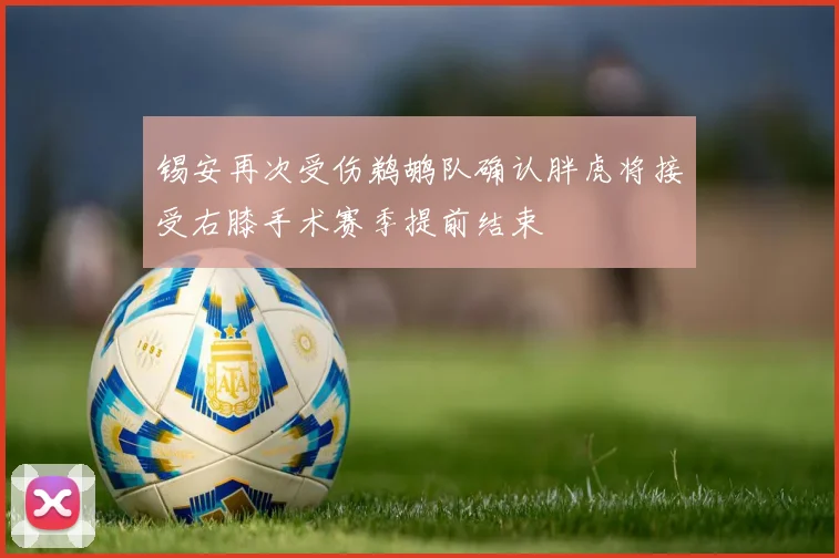 锡安再次受伤鹈鹕队确认胖虎将接受右膝手术赛季提前结束