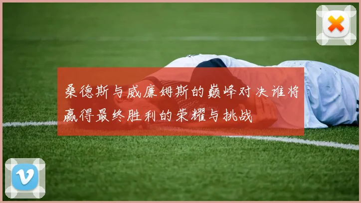 桑德斯与威廉姆斯的巅峰对决谁将赢得最终胜利的荣耀与挑战