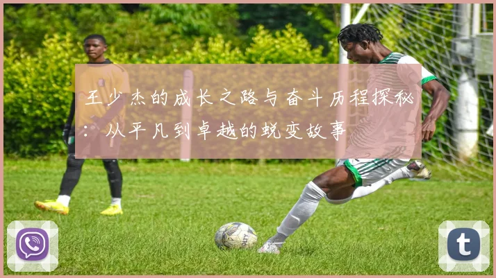 王少杰的成长之路与奋斗历程探秘：从平凡到卓越的蜕变故事